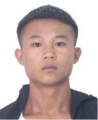 DƬ33